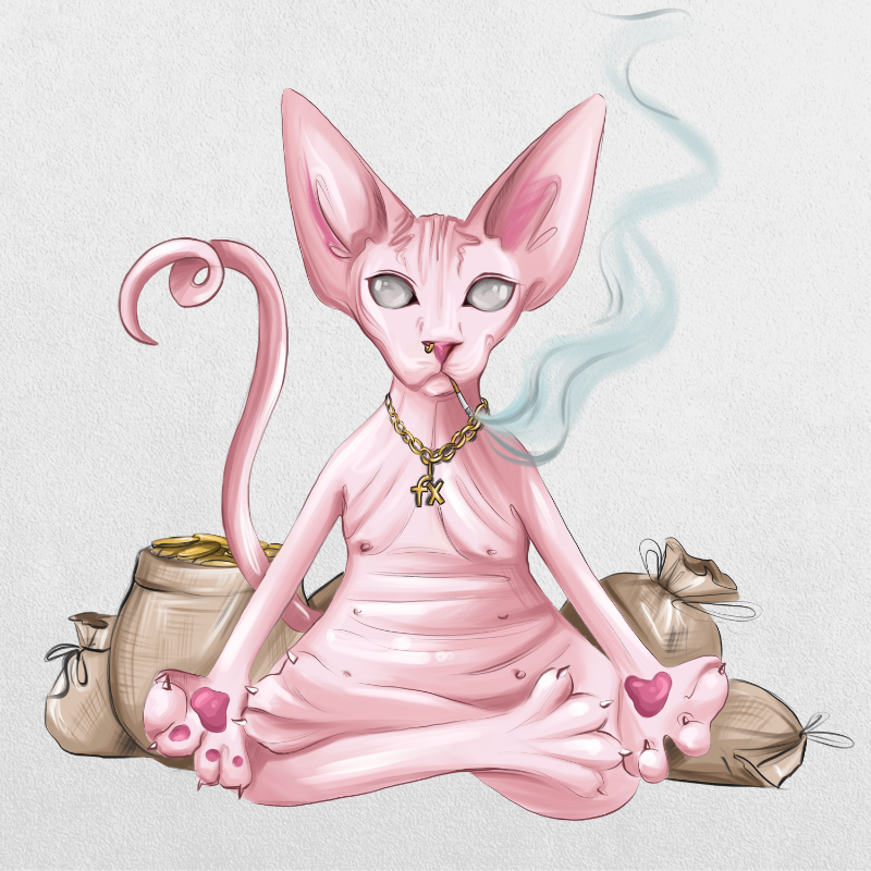 YogaCat #6 static token preview