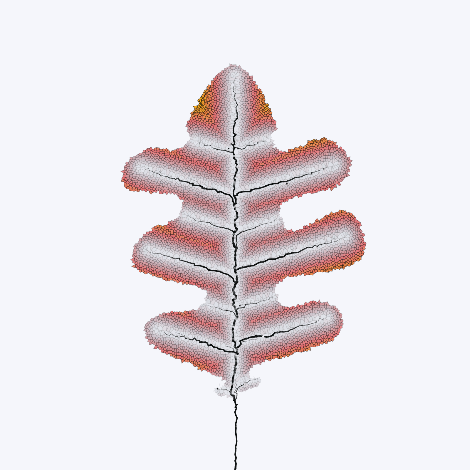 Leaf study #10 static token preview