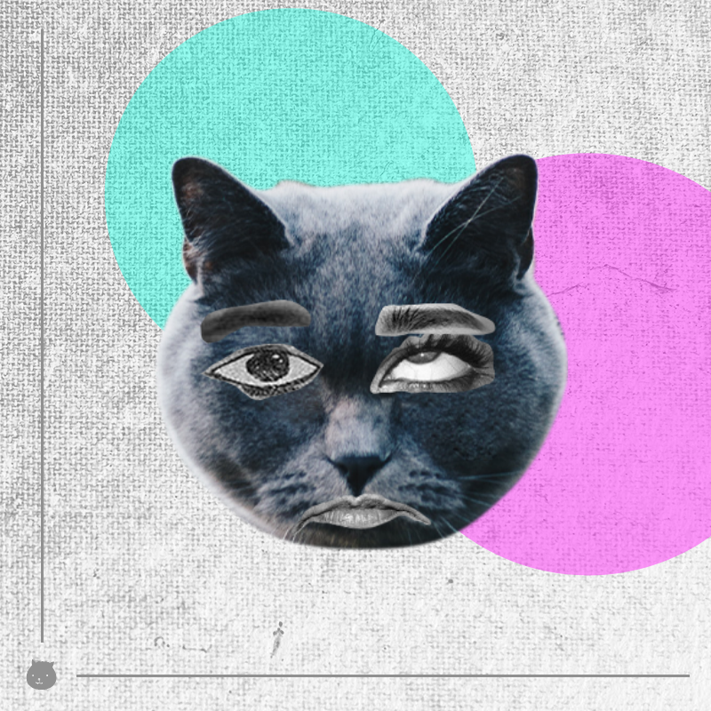 Kittenstein #12 static token preview