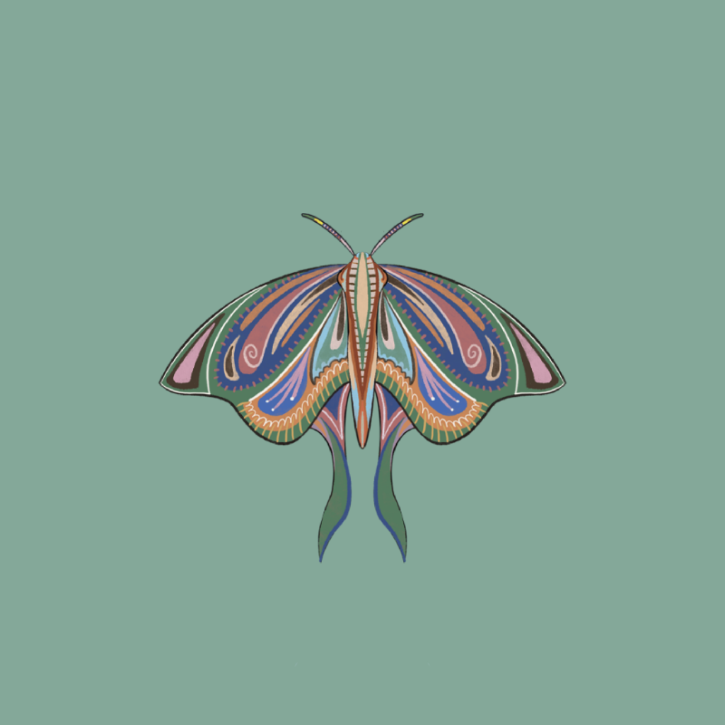 The Moth Experiment 2.0 P2 #8 static token preview