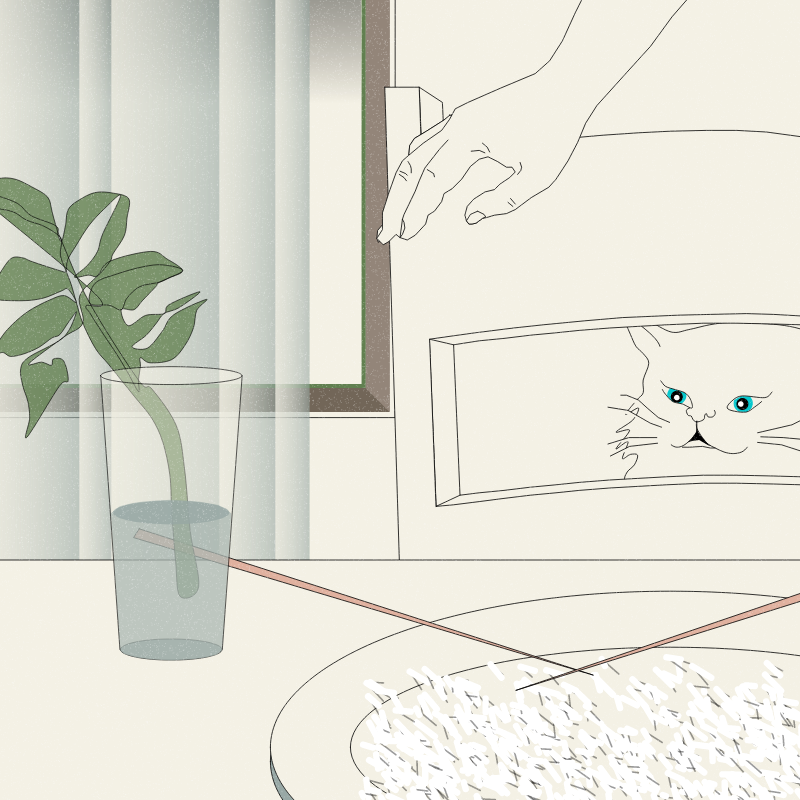 Still Life #6 #1 static token preview