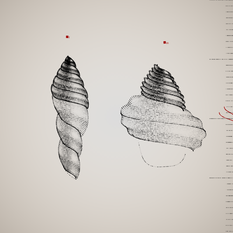 Two Specimen #1 static token preview
