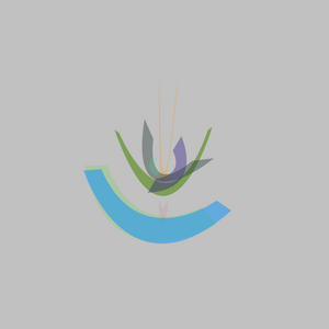 biYU project preview