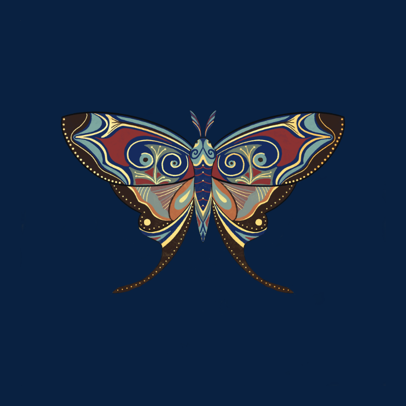 The Moth Experiment - Special Edition #5 static token preview