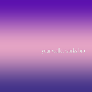 bro did your wallet works bro project preview