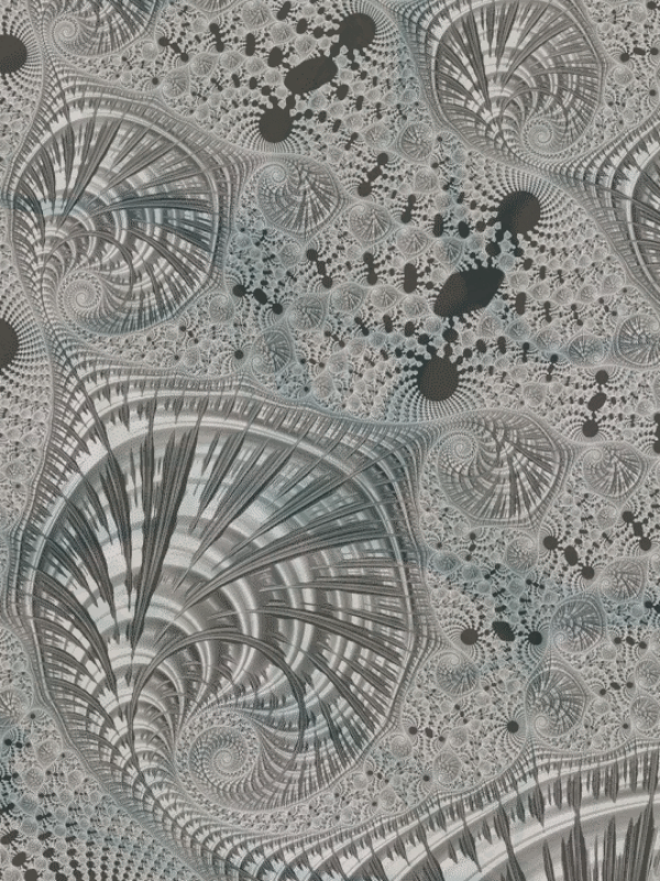 Fractal #19 static token preview