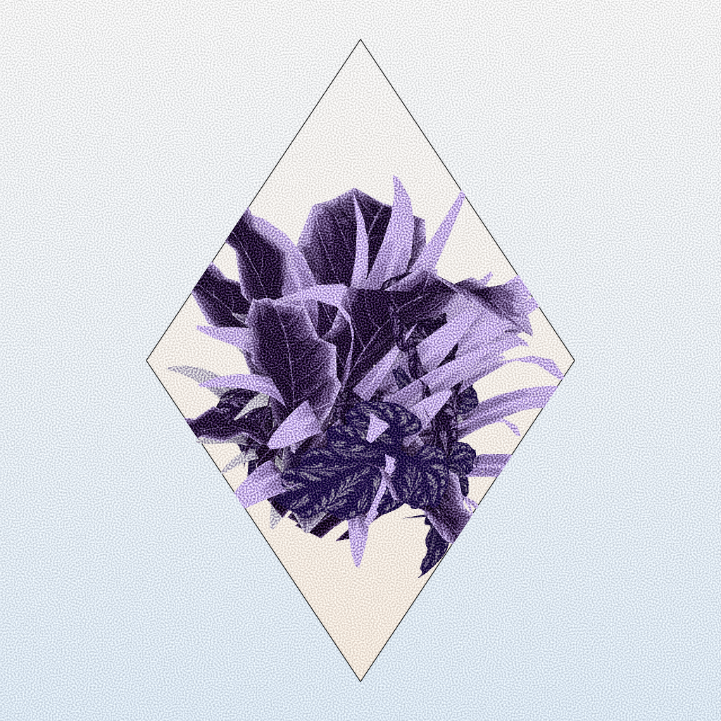 Botany #175 static token preview