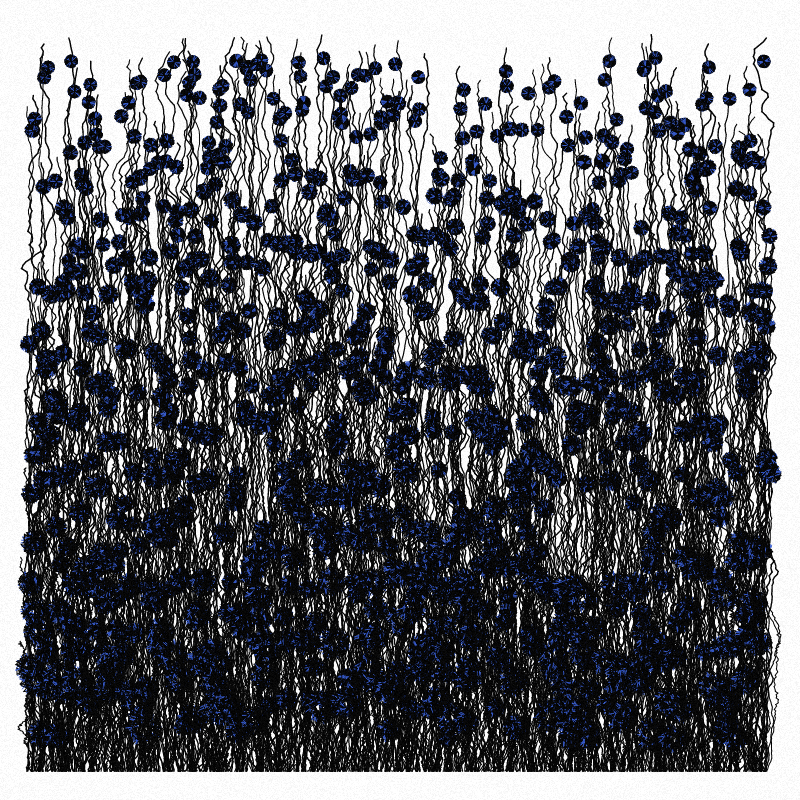 Cornflowers #9 static token preview