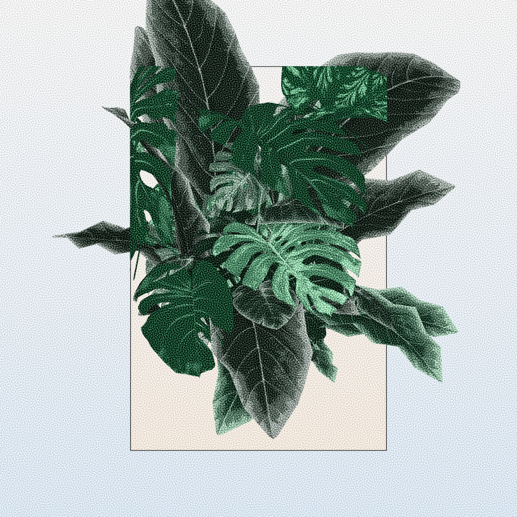 Botany #93 static token preview