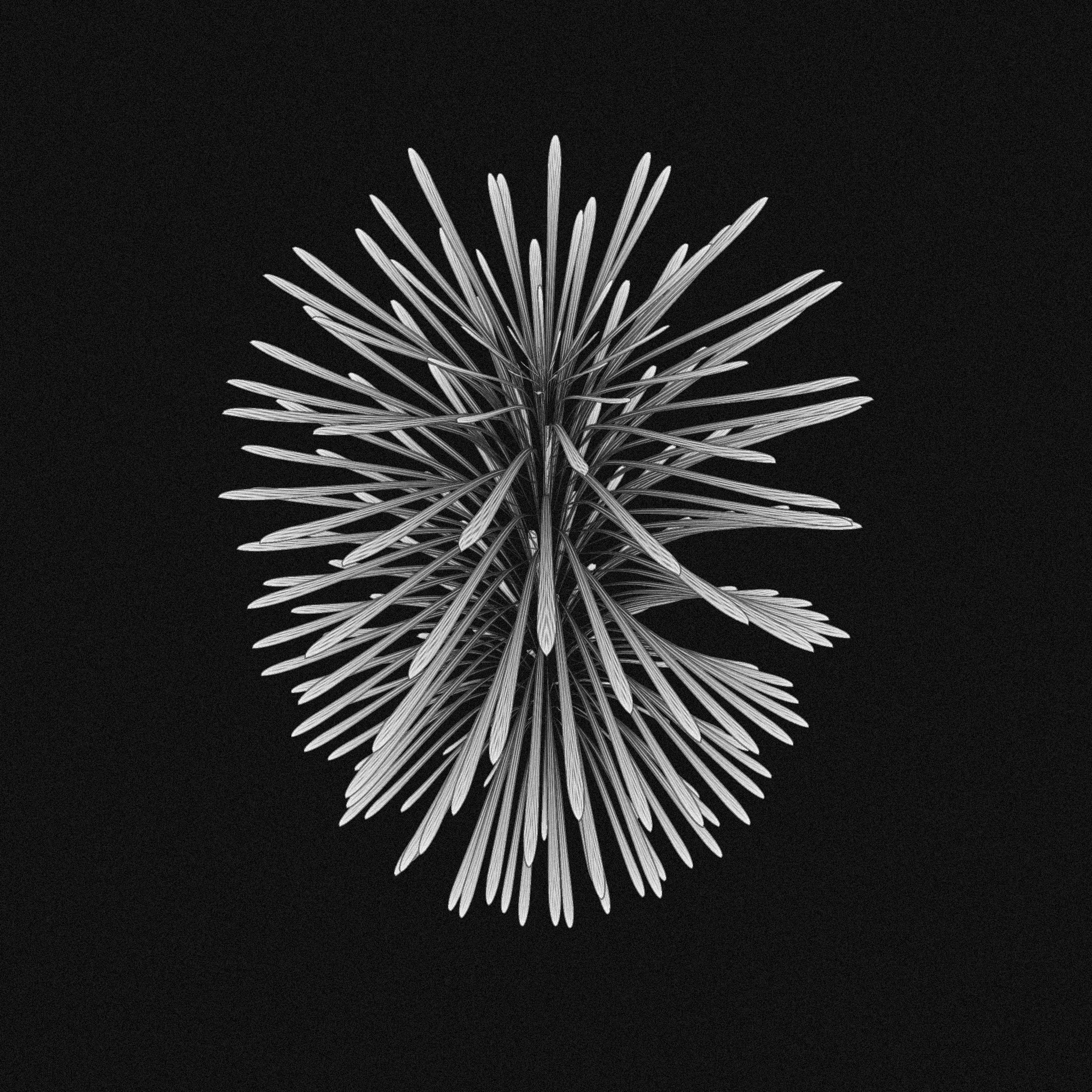 plant #6 static token preview