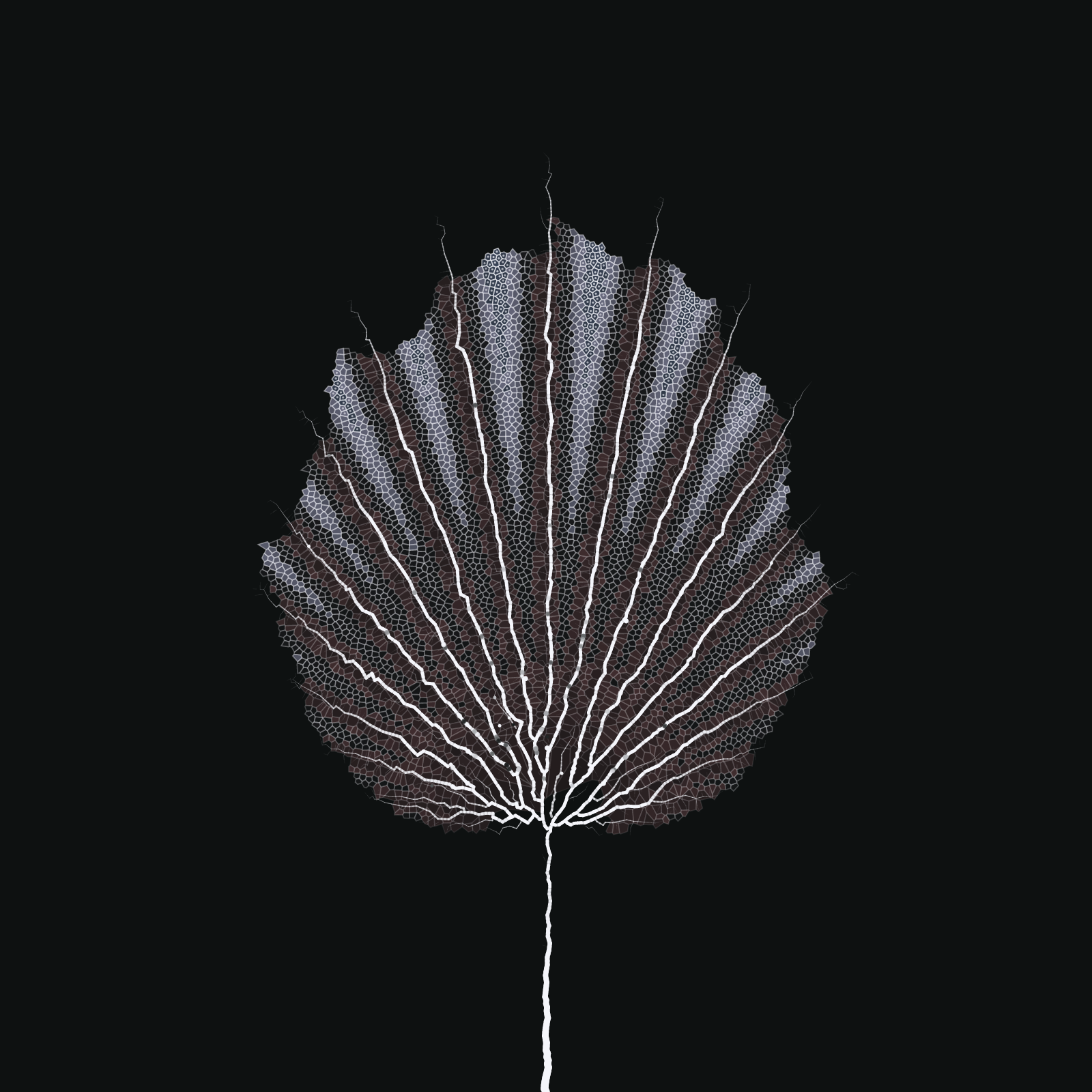 Leaf study #60 static token preview