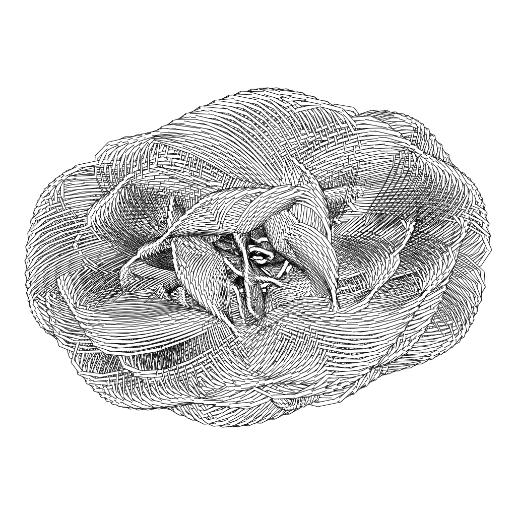 LL21 Entangled (3) #17 static token preview