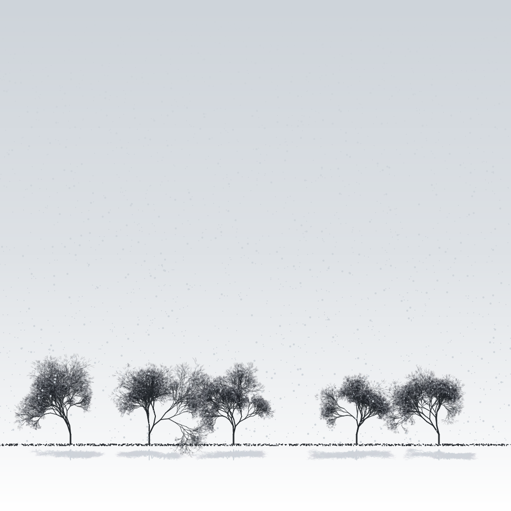 Sakuras in the snow #24 static token preview