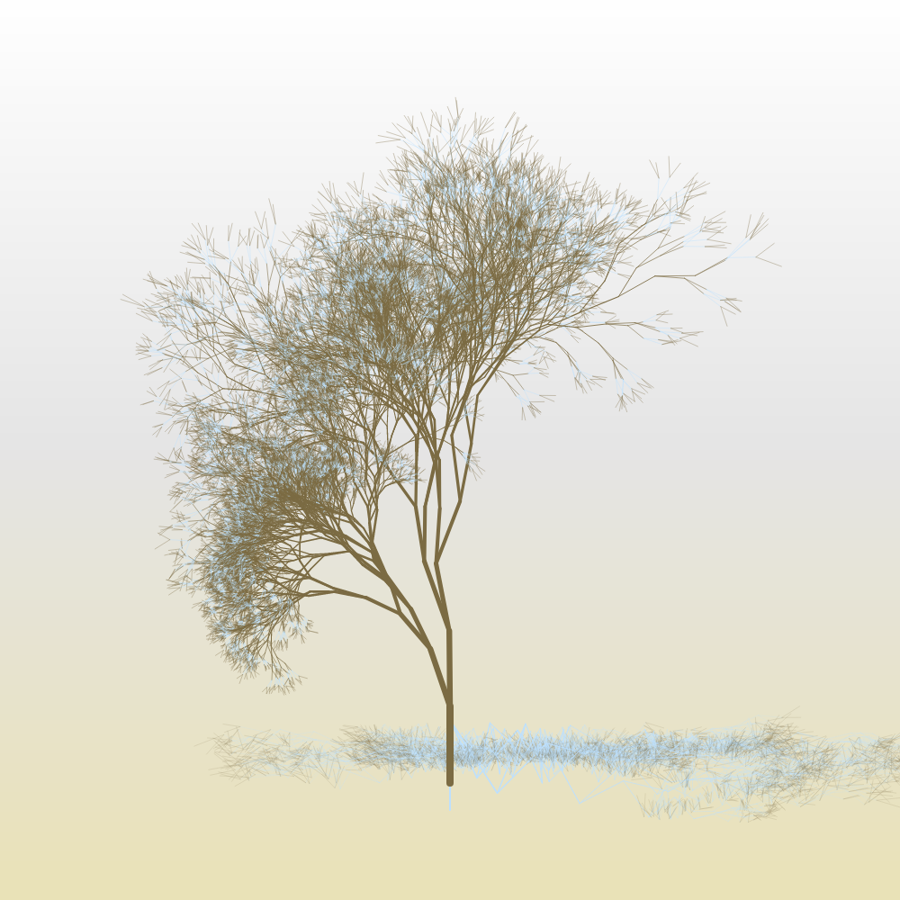 Hanami #4 static token preview