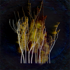Grove project preview