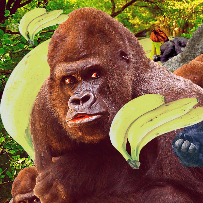 Banana #1 #15 static token preview