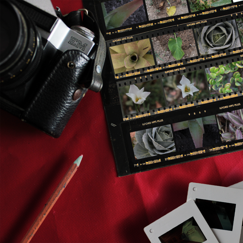 Contact Sheet #1 static token preview