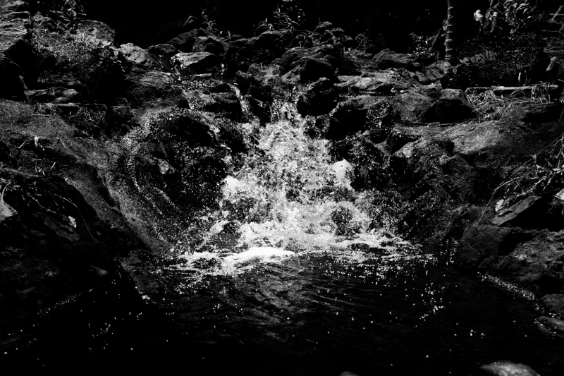 chasing waterfalls #6 static token preview