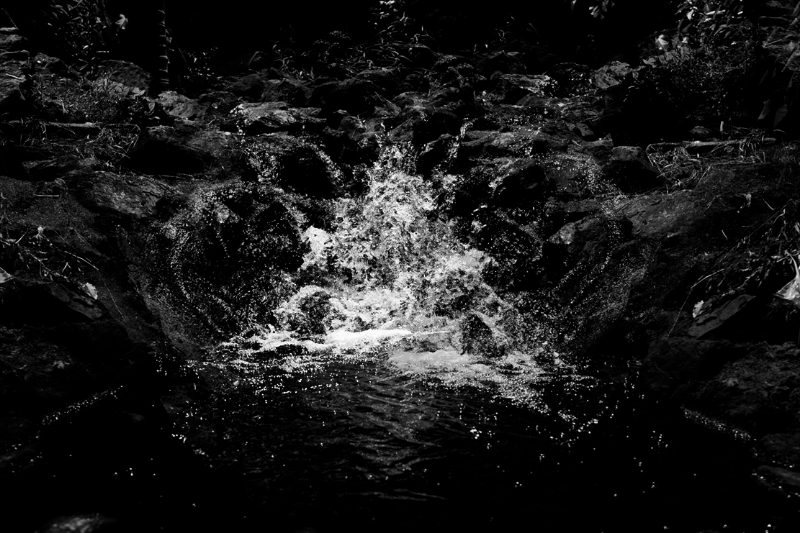 chasing waterfalls #20 static token preview