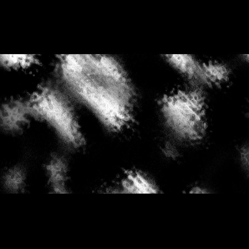 ƧЦBƧƬЯΛƬӨ DΣ PӨΣIЯΛ #46 static token preview