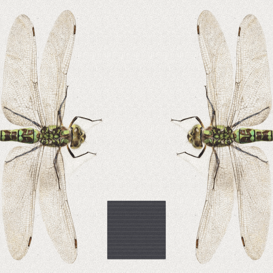 Dragonfly #7 static token preview