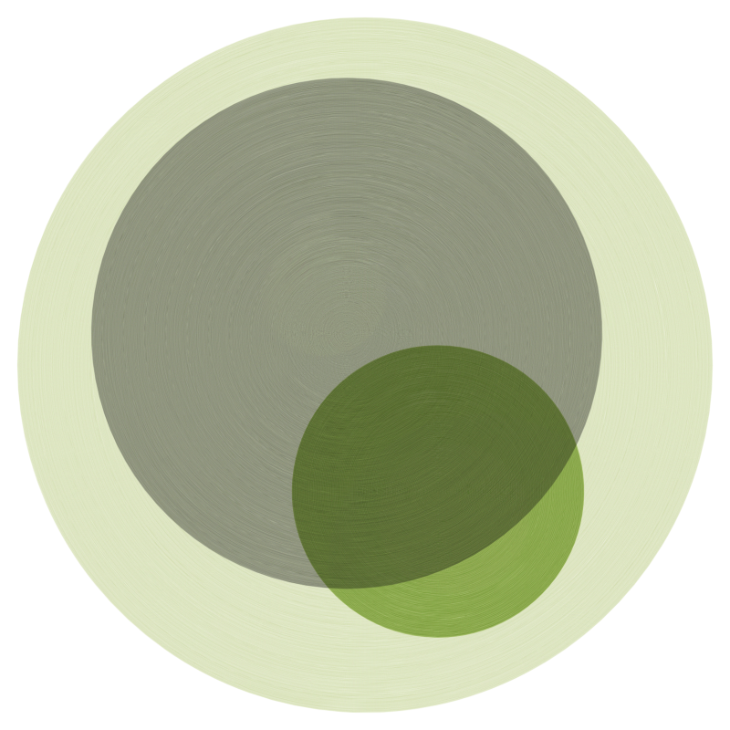 Brushed Circles #16 static token preview