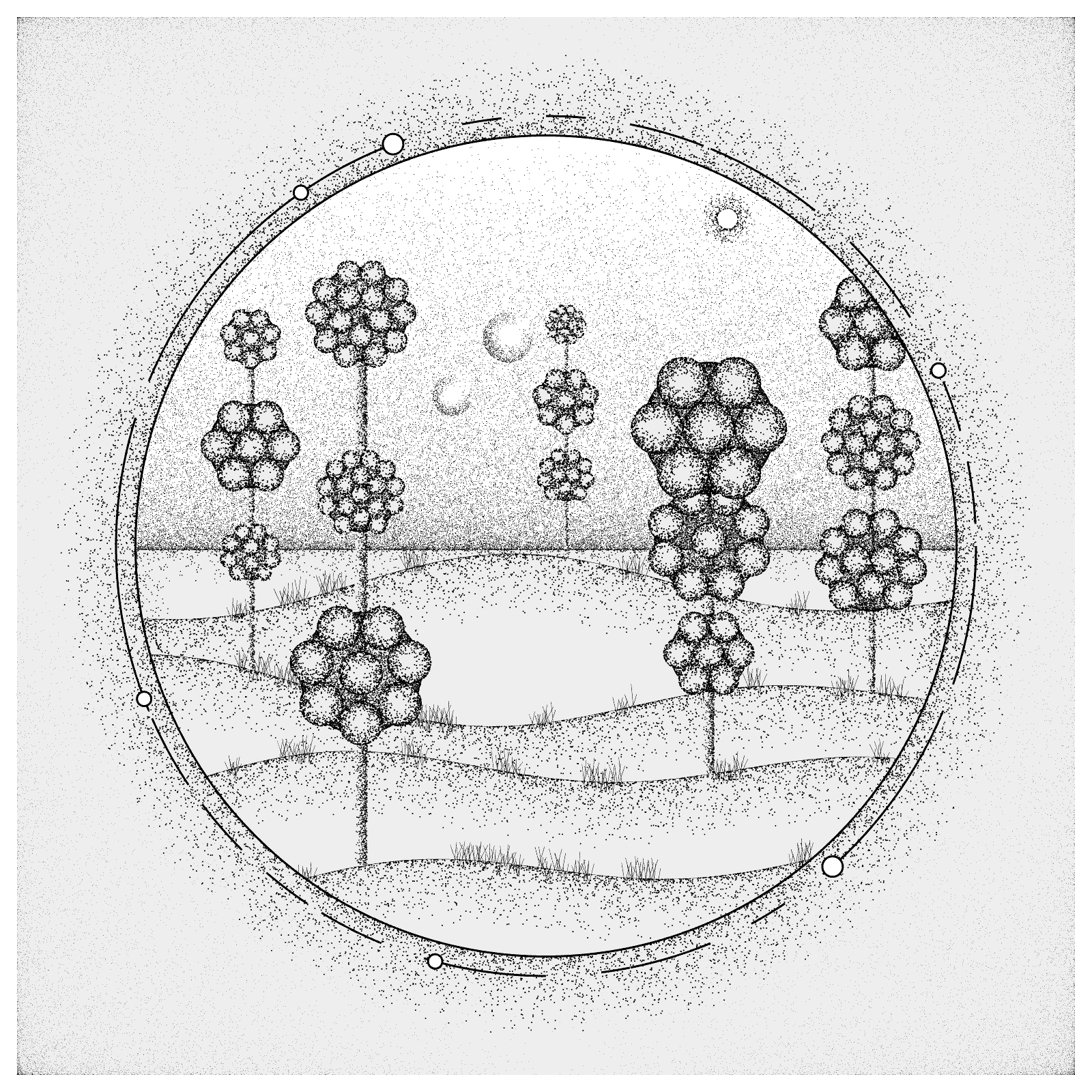 EXPLORING SPACE FLOWERS #24 static token preview