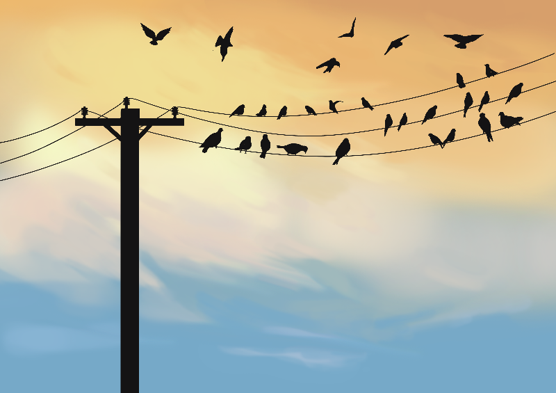 Online Birds #23 static token preview
