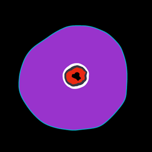 Black Hole Cell project preview