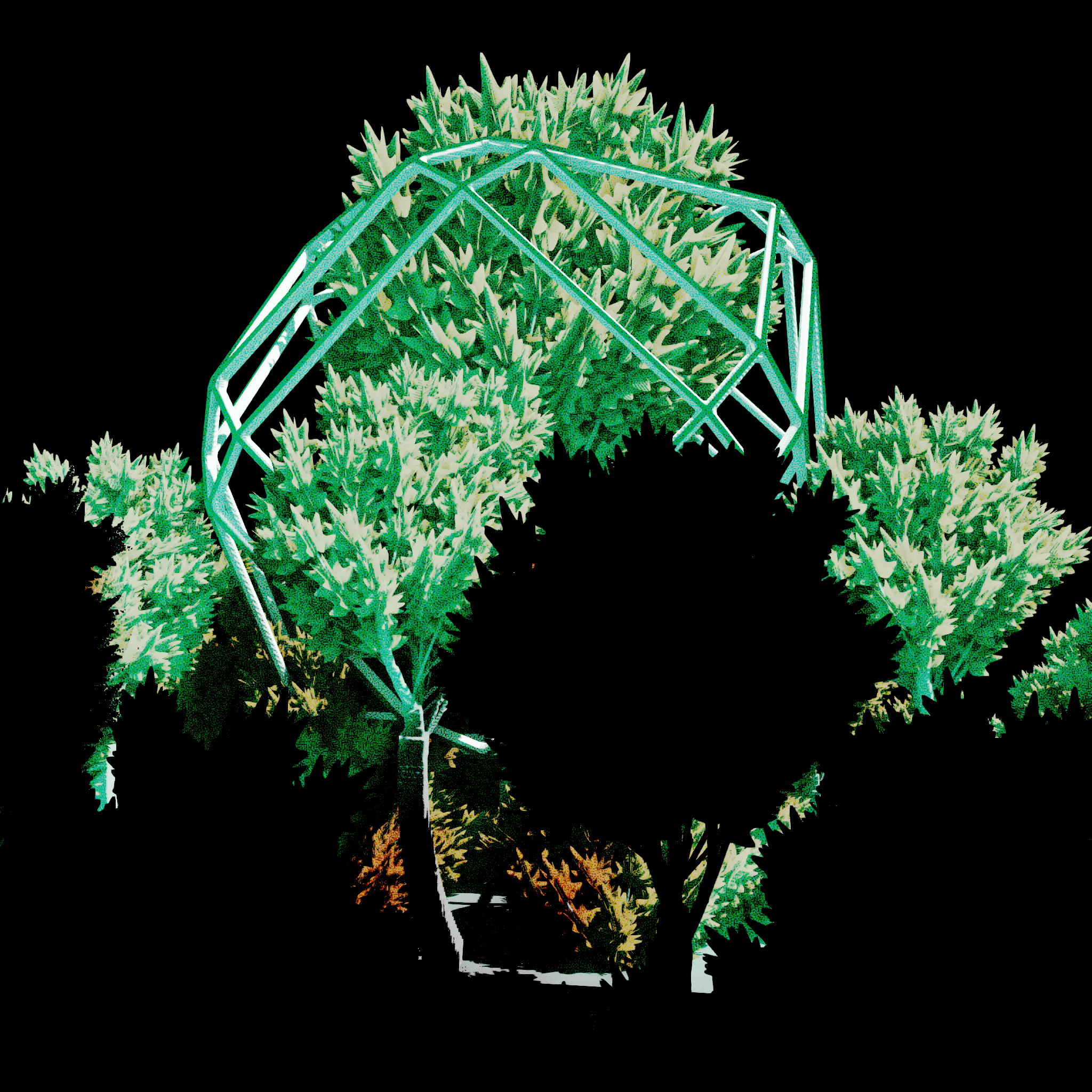 Urban Flora #23 static token preview