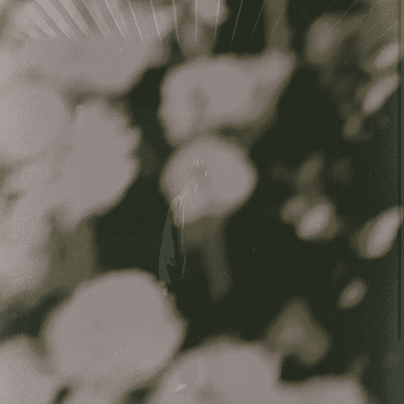 CONCRETE MEMORIES #12 static token preview