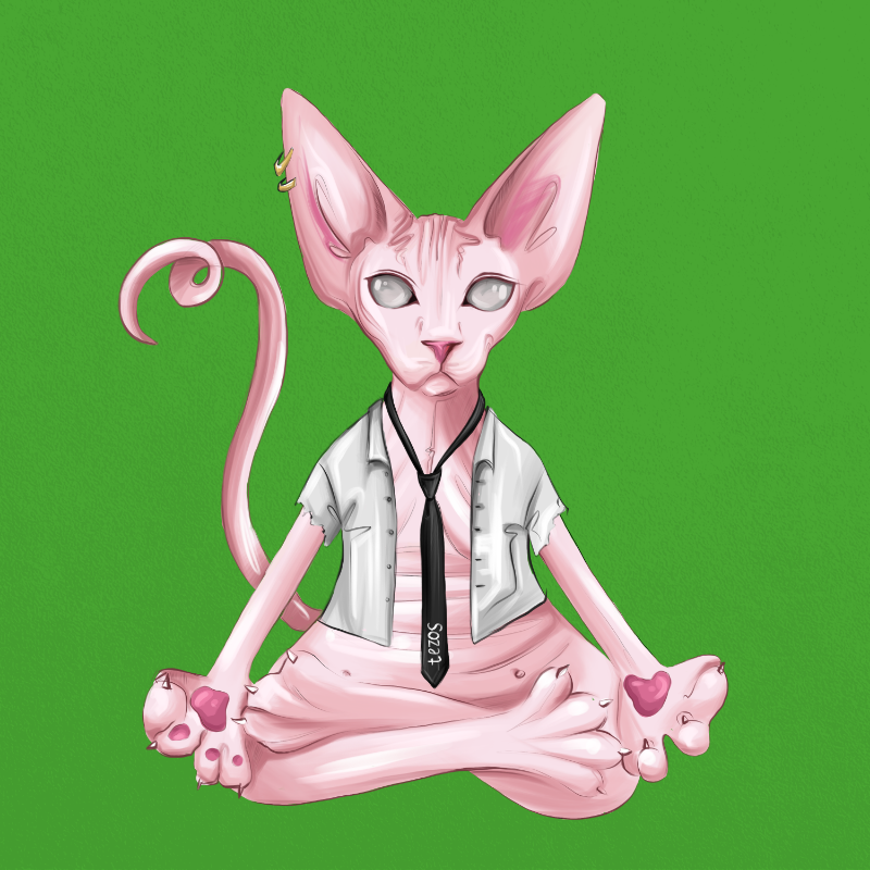 YogaCat #19 static token preview
