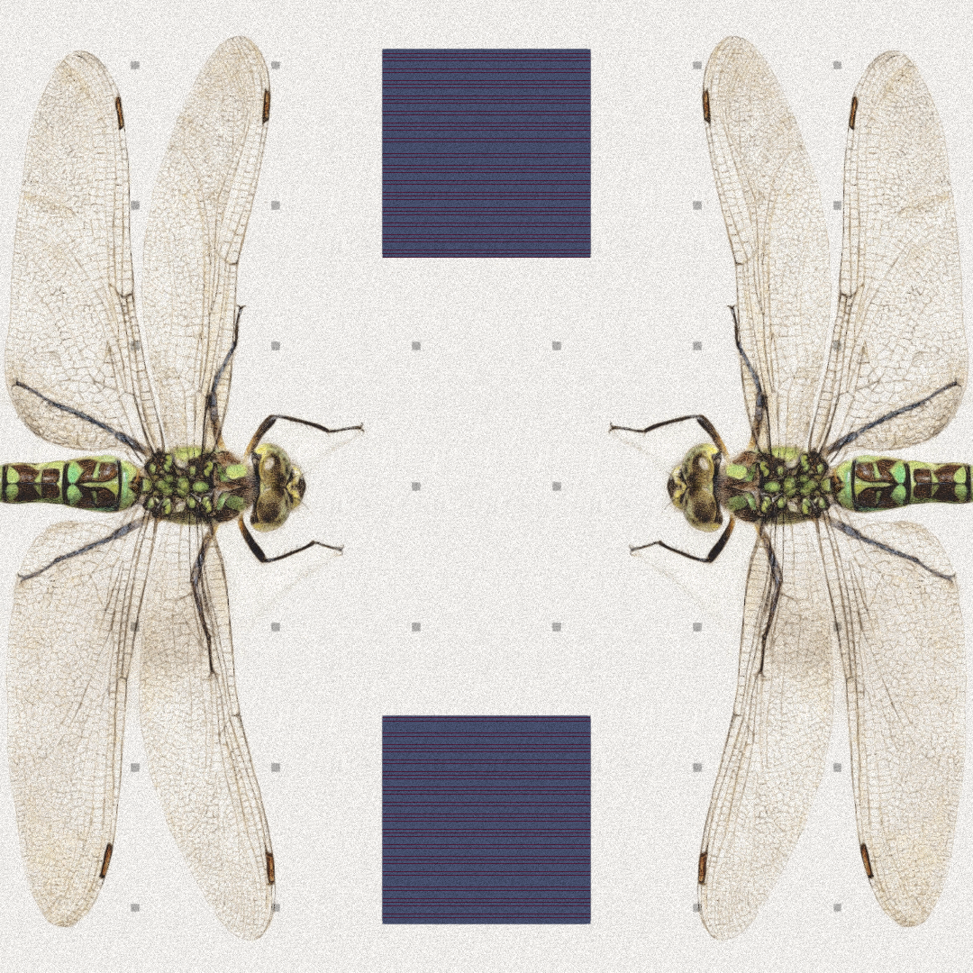 Dragonfly #5 static token preview