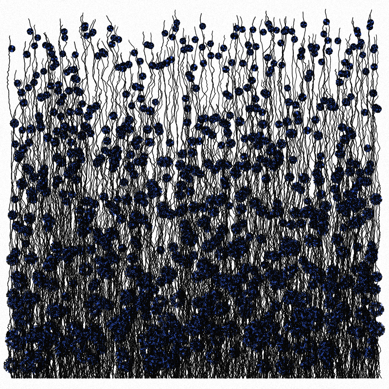 Cornflowers #2 static token preview
