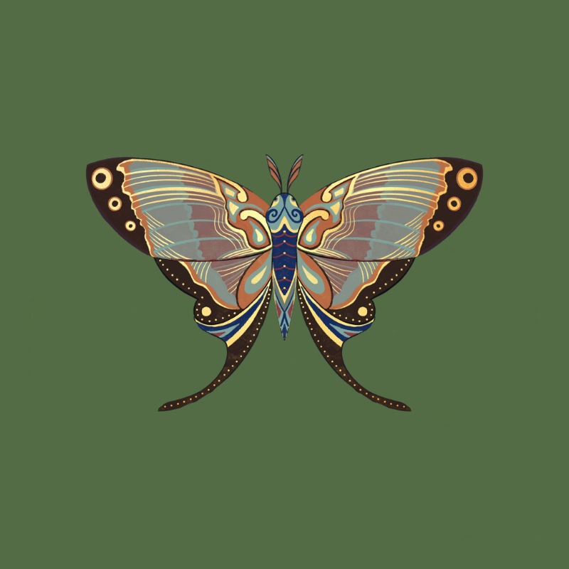 The Moth Experiment - Special Edition #1 static token preview