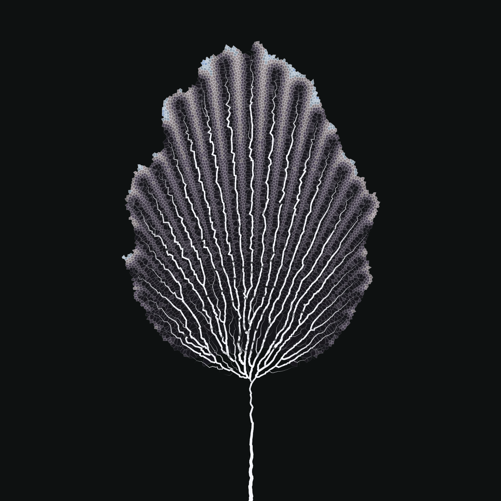Leaf study #18 static token preview