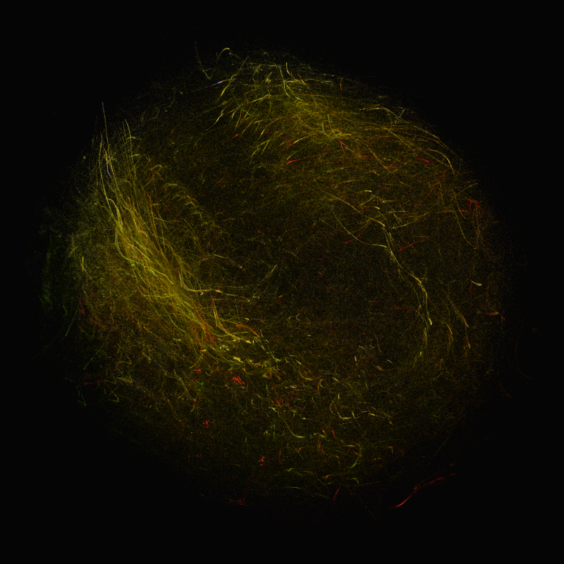 balls in vector fields #19 static token preview