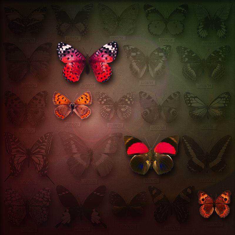 Save Butterfly World #3 static token preview