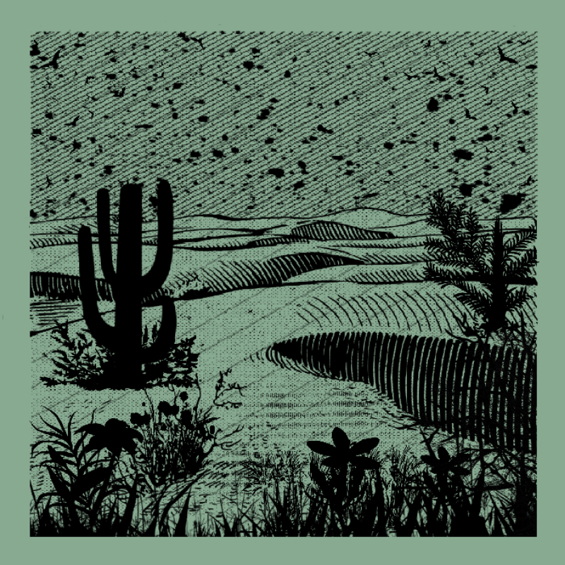 The Endless Desert #19 static token preview