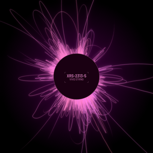Radiance project preview