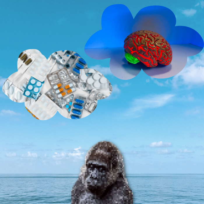 Anxious monkeys #3 static token preview