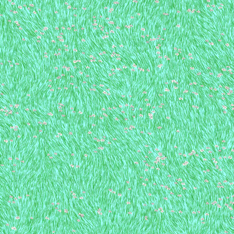 garden and grass #6 static token preview