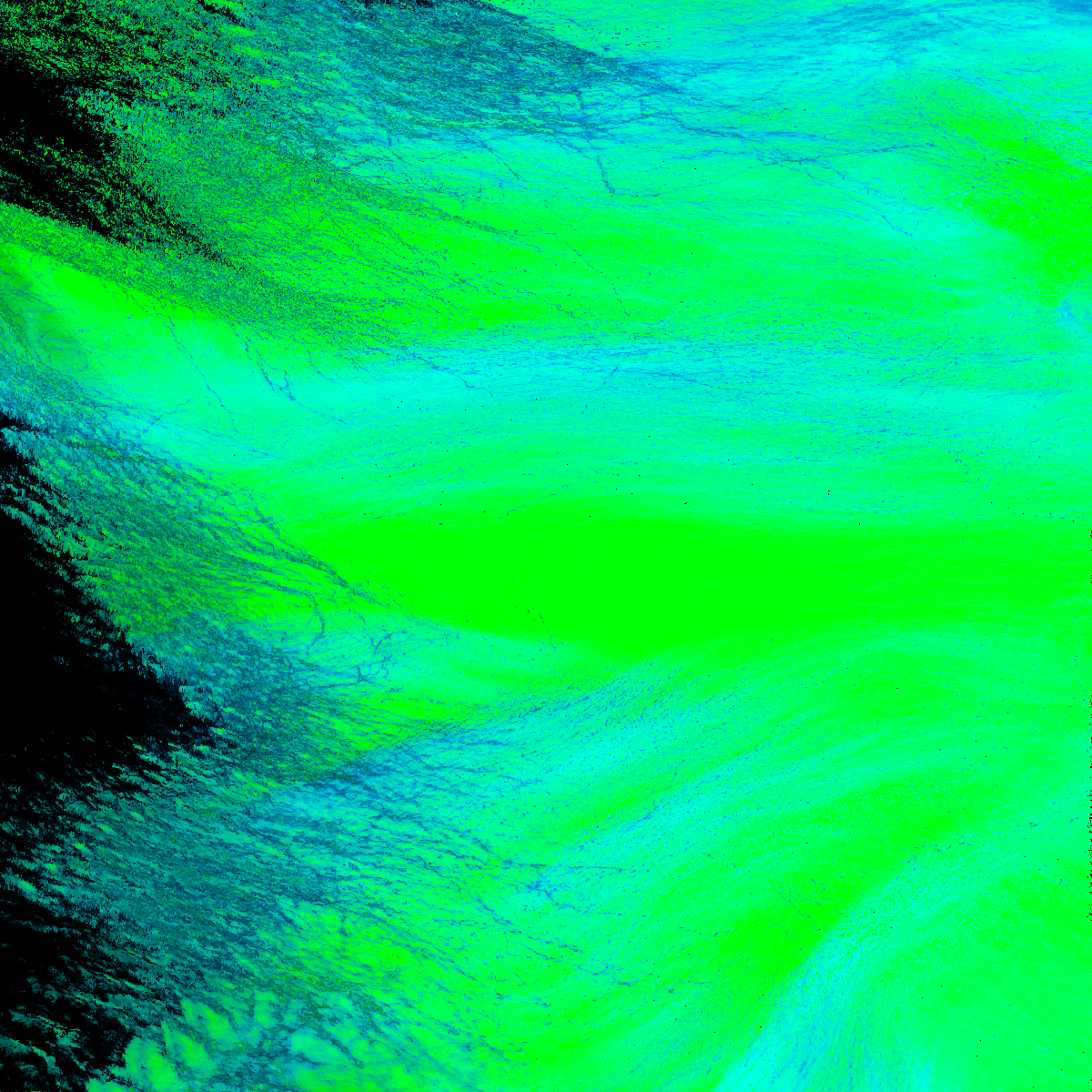 Fluxus | Collab with Rose Jackson #20 static token preview