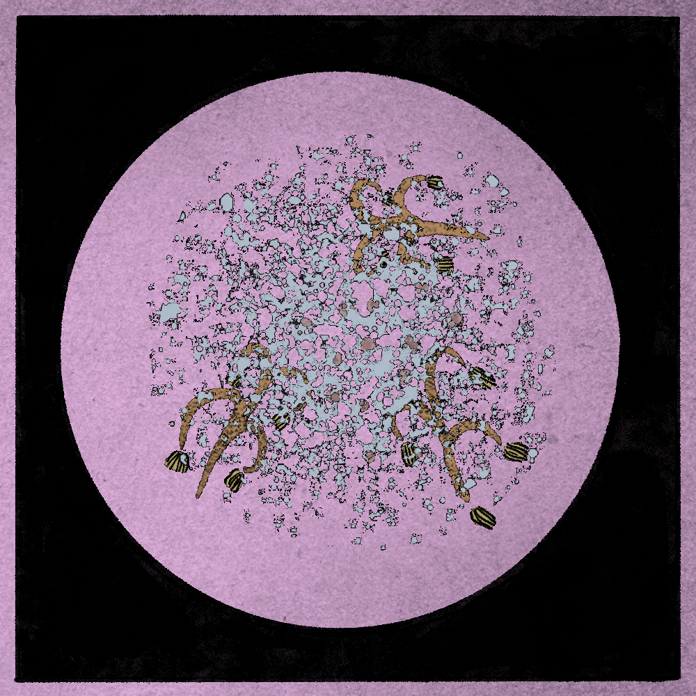 Microbes #5 static token preview