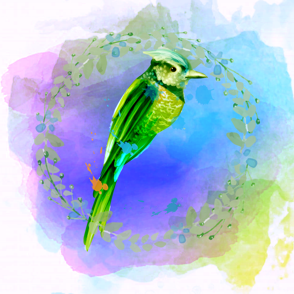 Random Colorful Birds #4 static token preview