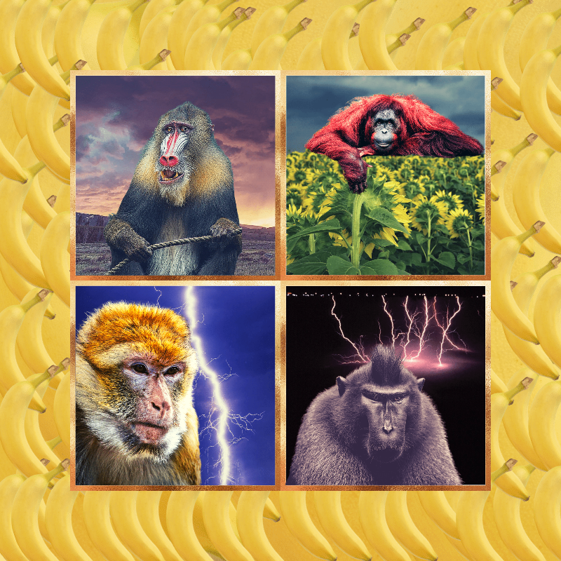 Banana legends #21 static token preview