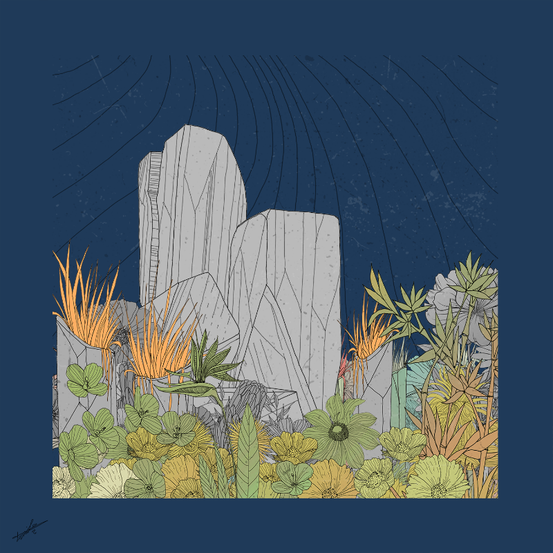 Garden of Lines #Rocks_Blooms #29 static token preview