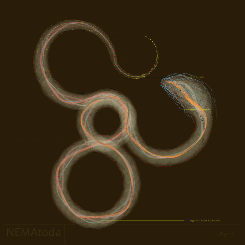 NEMA #20 static token preview