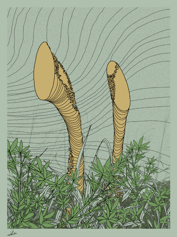 Line art #zentangle2 #5 static token preview