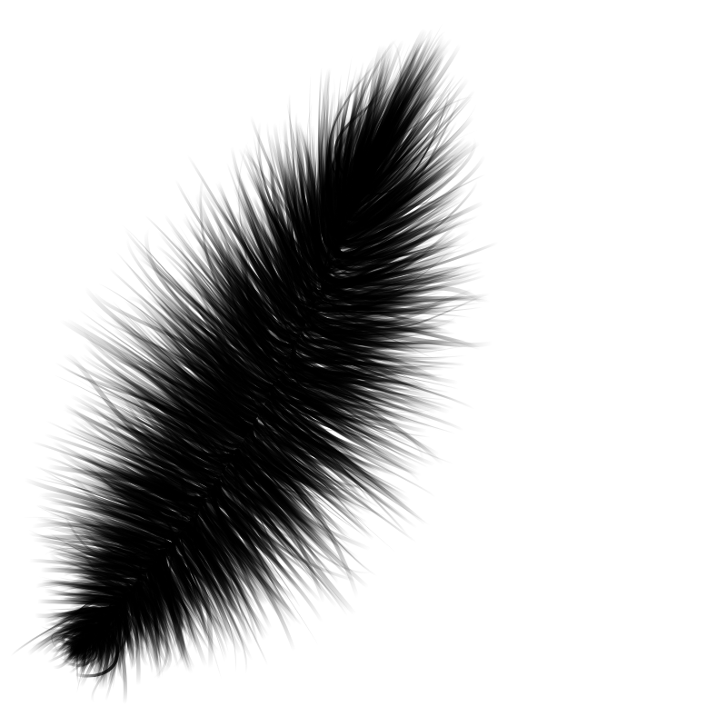 Random Feather #2 static token preview